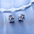 Ocean Blue Dolphin Stud Earrings for Women's