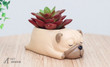 Pug Decorative Flower Pot Container
