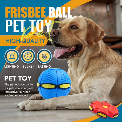 Pet Toy Flying Saucer Ball🐾