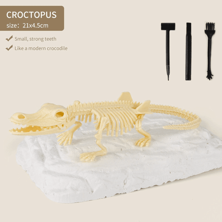 Great Educational Toy For Kids🎁2023 New Arrival Dinosaur Fossil Digging Kit