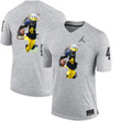 Michigan Wolverines Jim Harbaugh Gray Printing Player Portrait Football Jersey , NCAA jerseys