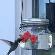 This is the discount for you : 🎉- Beautiful Mason Jar Hummingbird Feeder W/ Three Ports