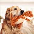 This the discount for you : Cats and Dogs Pet Plush Dinosaur Toys