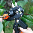 This discount is for you : Garden Professional Grafting Cutting Tool