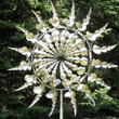 This discount is for you : Last Day 69% OFF - Magic Metal Kinetic Sculpture
