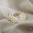This discount is for you : CLASSY ROSE EARRINGS