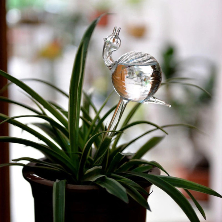 This discount is for you : Self-Watering Plant Glass Bulbs