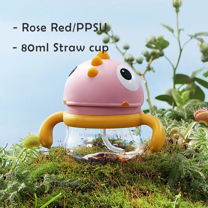THIS IS A DISCOUNT FOR YOU : Dinosaur Weighted Straw Sippy Cup