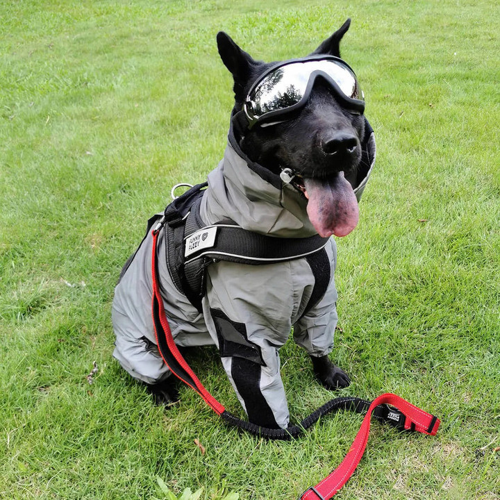 This discount is for you : Reflective All-weather Waterproof Dog Rain Coat