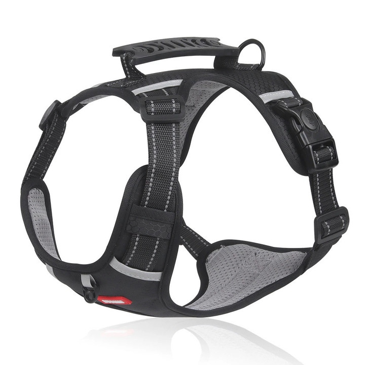 This is a discount for you: No Pull Dog Harness for Pets