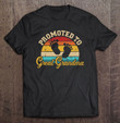 promoted-to-great-grandma-vintage-t-shirt