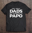 papo-shirt-gift-only-great-dads-get-promoted-to-papo-t-shirt