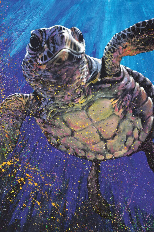 Kemps Ridley Sea Turtle Swimming Painting By Stephen Fishwick Canvas Canvas Print | PB Canvas