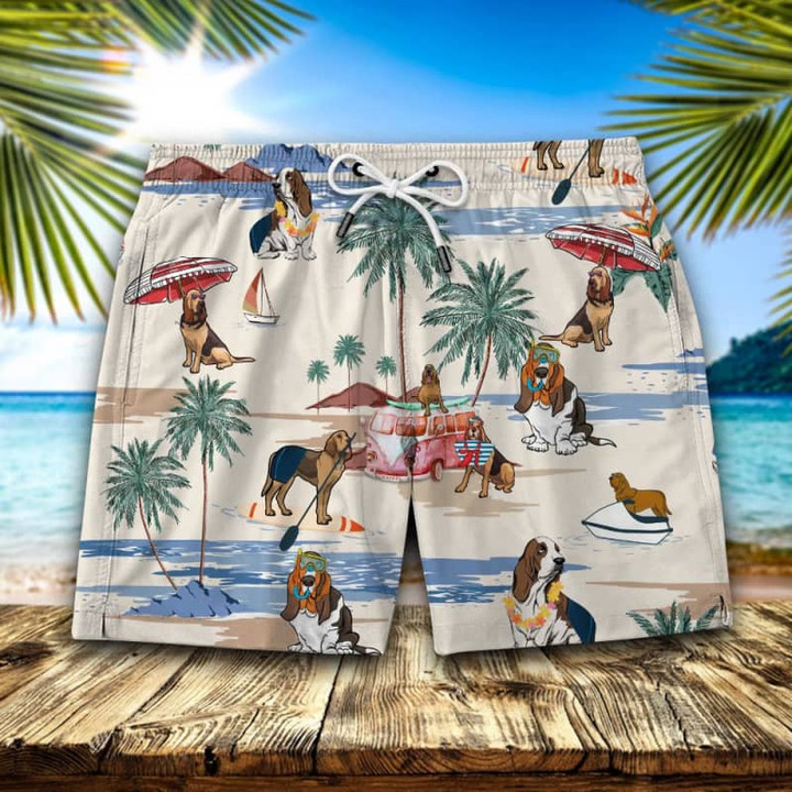 Bloodhound Summer Beach Shorts 2