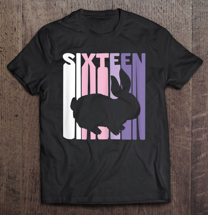 16th-birthday-bunny-rabbit-fan-16-years-old-girl-t-shirt