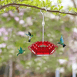 Hummingbird Feeder With Perch And Built-In Moat