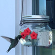 Mason Jar Flower Hummingbird