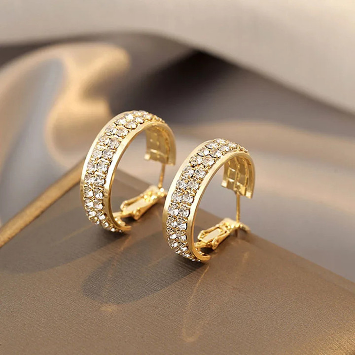 Luxury Fashion Design Super Sparkling Ring Earrings for Women Silver Needle Earring Temperament Circle Earring Wedding Jewelry