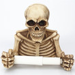Skull Shaped Tissue Holder (Toilet Roll Paper, Kitchen Hanging Tissue Box)