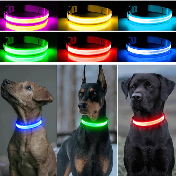 LED Flashing Dog Collar