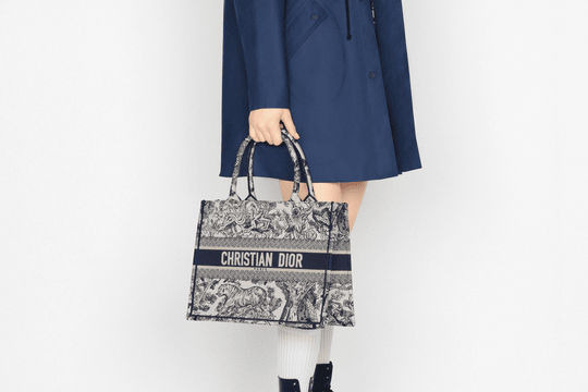 Blue Toile de Jouy Embroidery Small Book Tote - Women’s Leather Bag
