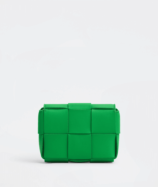 Parakeet Cassette Leather Bag - Leather Women's Handbag - Bagsfits
