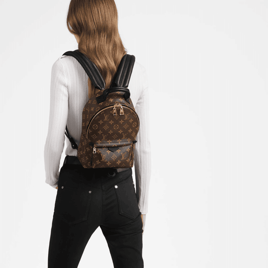 Palm Springs PM Backpack - Monogram Canvas Leather Backpack