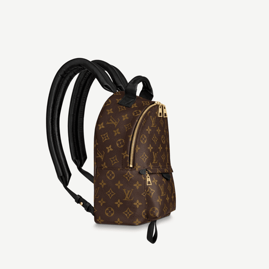 Palm Springs PM Backpack - Monogram Canvas Leather Backpack