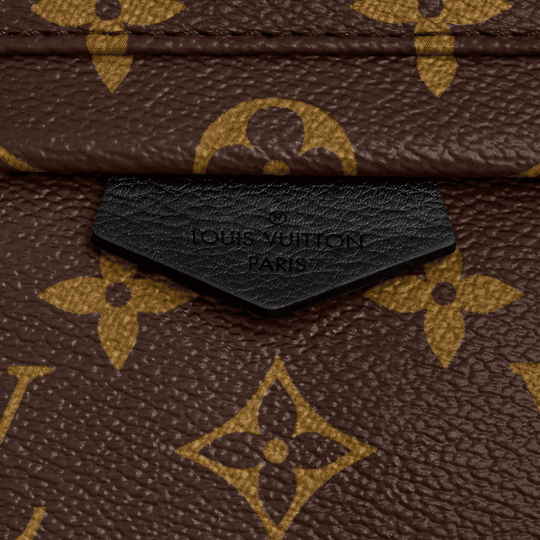 Palm Springs PM Backpack - Monogram Canvas Leather Backpack