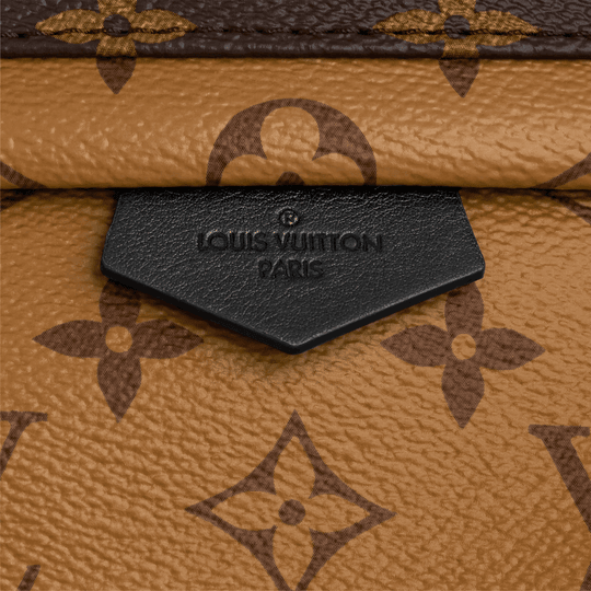 Palm Springs PM Backpack - Monogram Canvas Leather Backpack