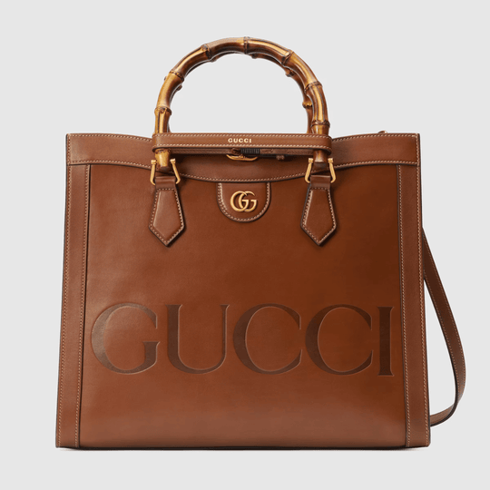 Brown Diana Small Top Handle Bag - Leather Women's Handbag - Bagsfits