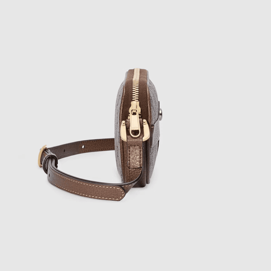 Ophidia GG Mini Bag - Leather Women's Handbag - Bagsfits