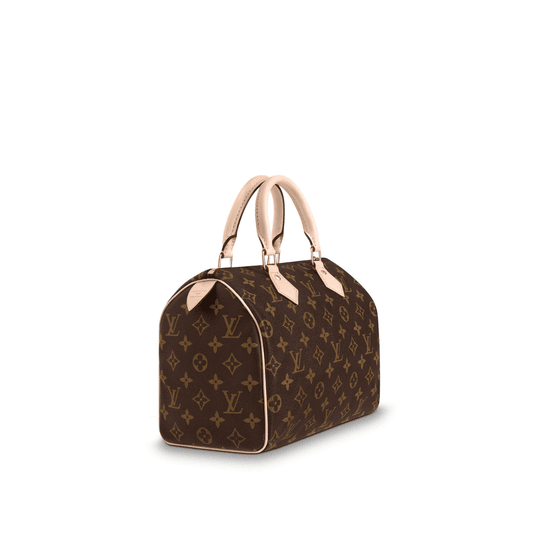 Speedy 25 - Leather Women's Handbag