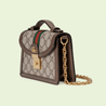 Brown Ophidia GG Mini Shoulder Bag - Leather Women's Handbag - Bagsfits