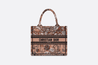 Powder Pink Dior Jardin Magique Embroidery Small D Book Tote - Leather Women's Handbag - Bagsfits