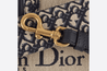 Blue CD Oblique Embroidery Shoulder Strap