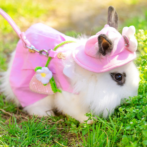 Cute Bunny Pet Vest Accessories