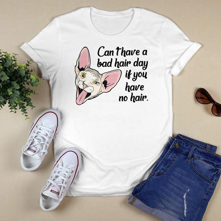 Funny Sphynx Cat, Funny Sphynx Cat Gift For Cat Lovers Pullover Hoodie