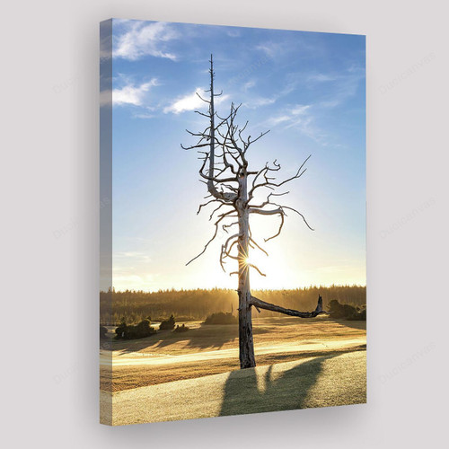 Old Macdonald Ghost Tree V1 Painting Canvas - Canvas Prints, Canvas Wall Art, Wall Decor For Living Room