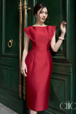Red Dress, Elegant Hugging Shape