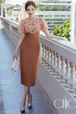 One-piece dress, long, brown, nude color, chest lace, short sleeves, rose lace, pencil skirt, flattering figure. Office dress, work dress, party dress, luxury