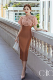 One-piece dress, long, brown, nude color, chest lace, short sleeves, rose lace, pencil skirt, flattering figure. Office dress, work dress, party dress, luxury