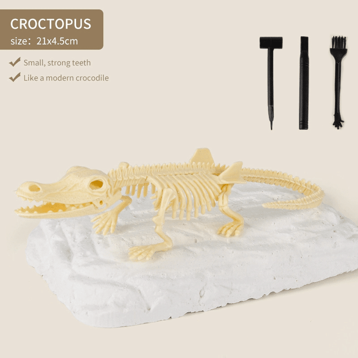 Great Educational Toy For Kids🎁2022 New Arrival Dinosaur Fossil Digging Kit