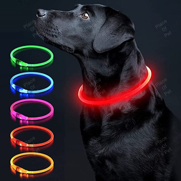 Luminous Dog Collar Light Charge Cat Necklace, Led Fashion Flashing DIY Glowing Safety Collar for Dogs Nighttime Pet Accessorie
