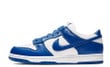 Nike Dunk Low Kentucky Varsity Royal Blue CU1726-100