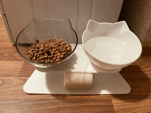 Cat Feeding Bowls