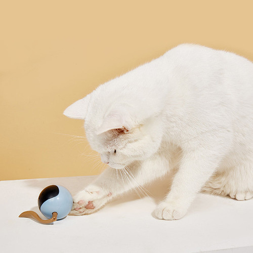 🔥HOT SALE 💥Interactive Self-Rolling Ball Cat Toy