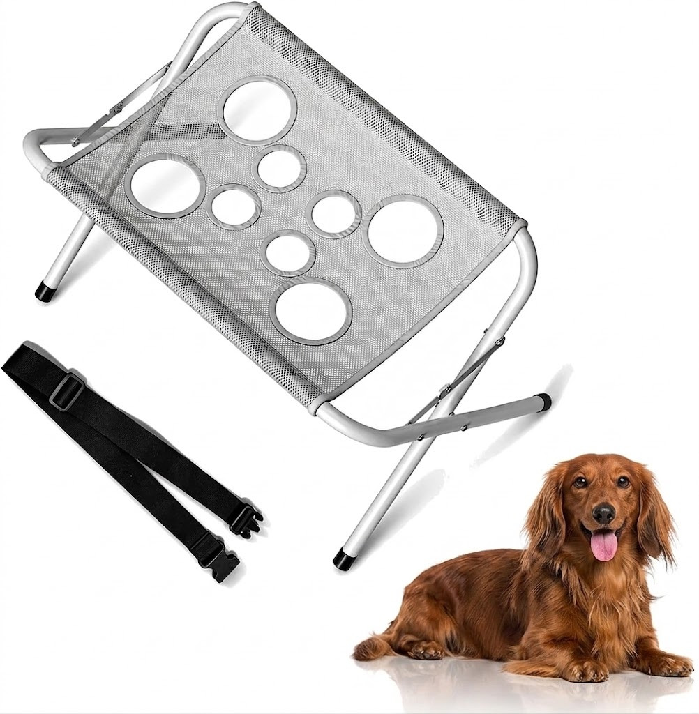 Dachshund Collection