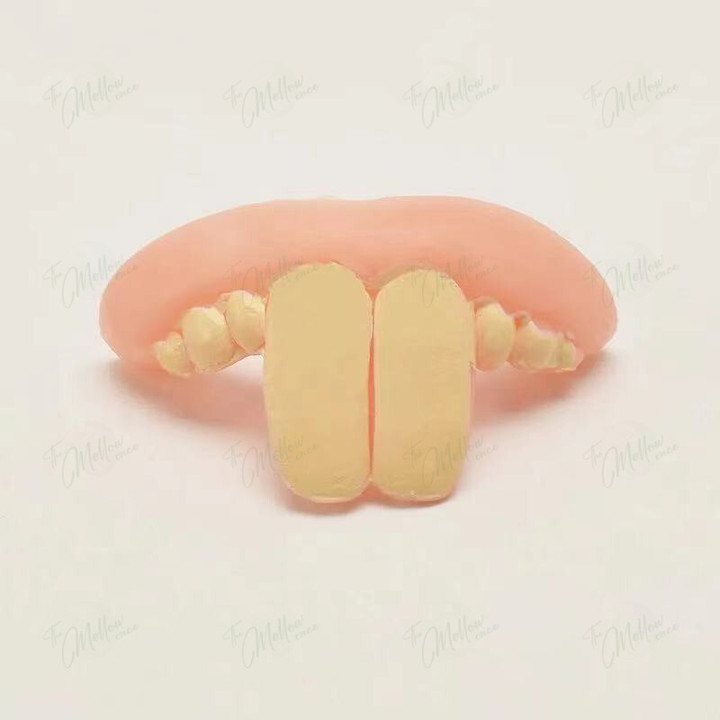 Dog Rabbit Teeth