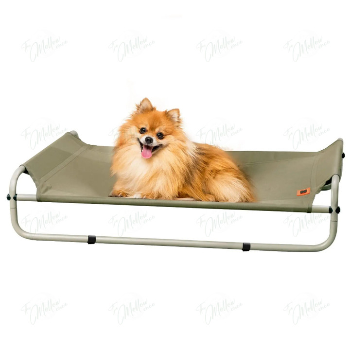 Elevated Dog Bed